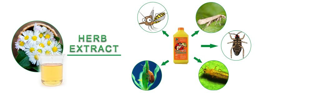 Pyrethrum Extract.jpg